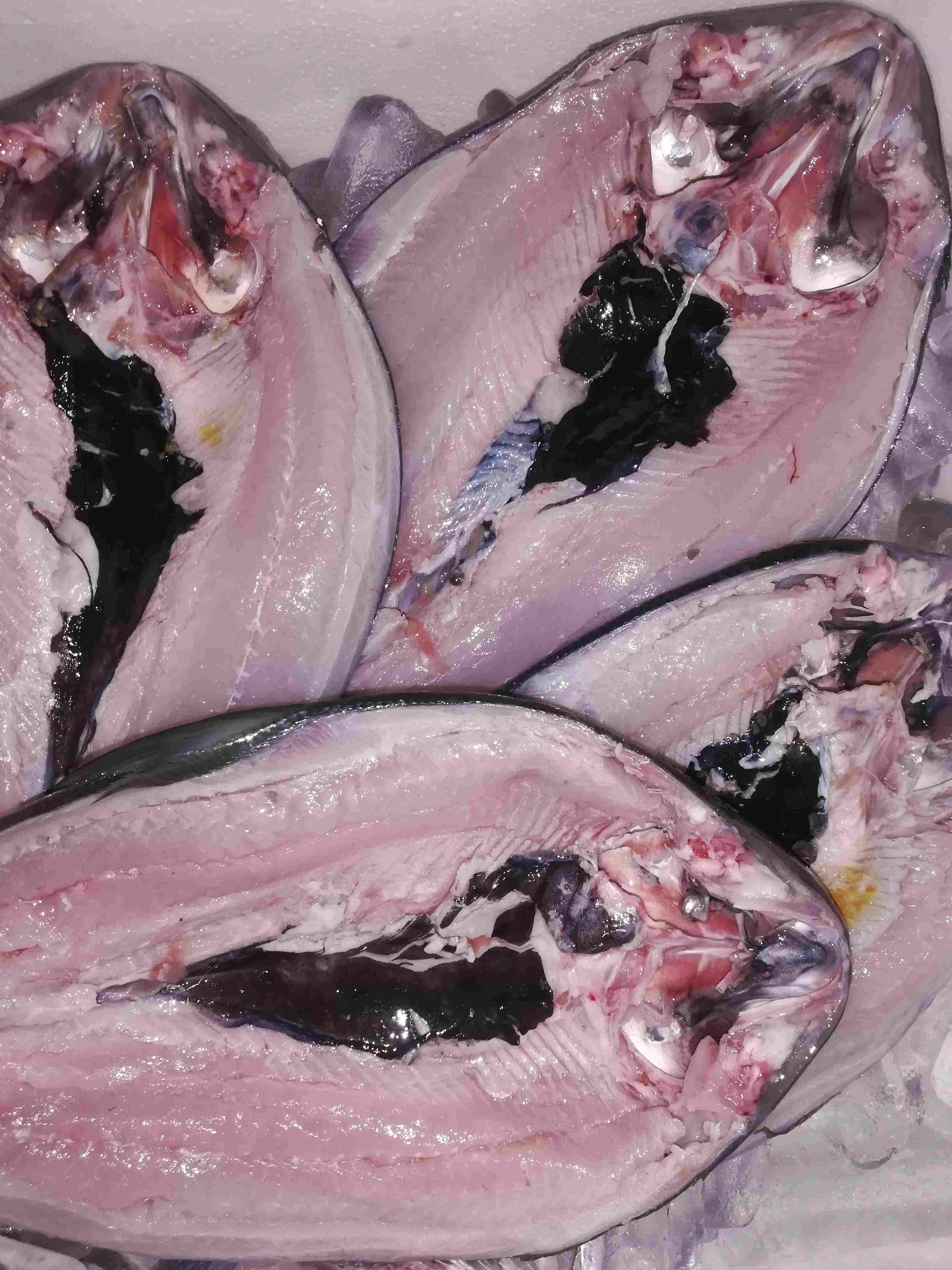 Boneless Bangus (2pcs)