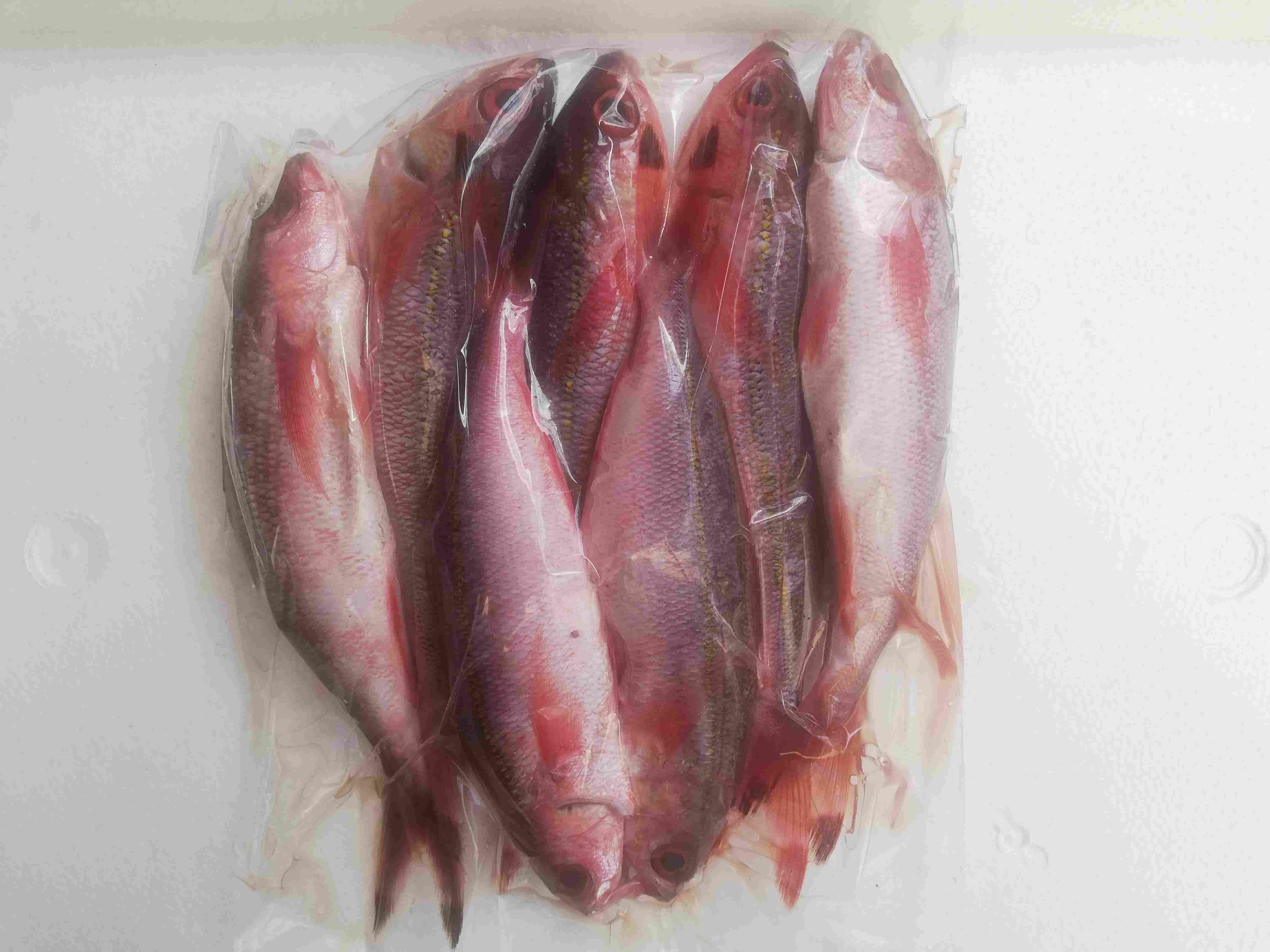 Dalagang Bukid Bilog